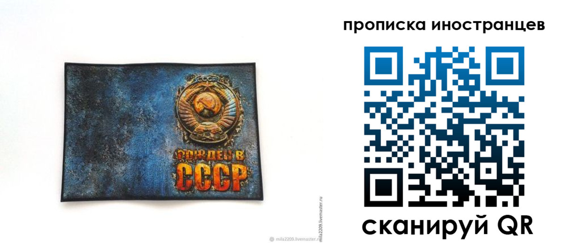 прописка для школы в Армавире
